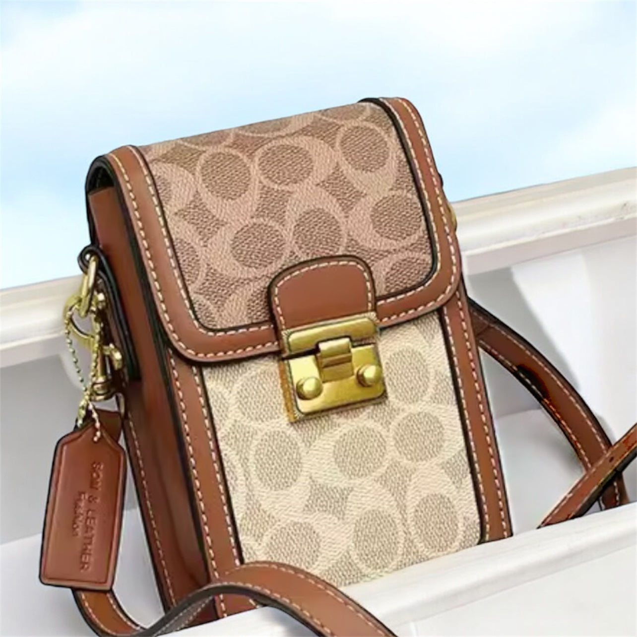 Mini Crossbody Luxury Bag
