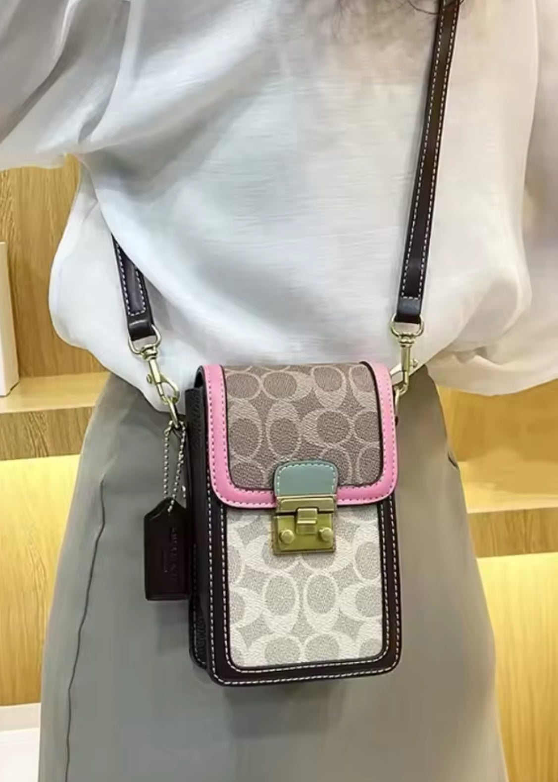 Mini Crossbody Luxury Bag